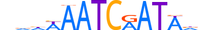 ONEC3.H13CORE.0.S.B reverse-complement motif logo (ONECUT3 gene, ONEC3_HUMAN protein)