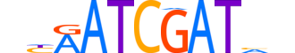 ONEC3.H13CORE.1.S.C reverse-complement motif logo (ONECUT3 gene, ONEC3_HUMAN protein)