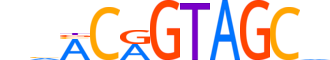 OSR1.H13CORE.0.SM.B reverse-complement motif logo (OSR1 gene, OSR1_HUMAN protein)