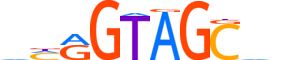 OSR2.H13CORE.0.PSM.A reverse-complement motif logo (OSR2 gene, OSR2_HUMAN protein)