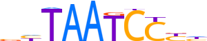 OTX2.H13CORE.0.PSM.A reverse-complement motif logo (OTX2 gene, OTX2_HUMAN protein)