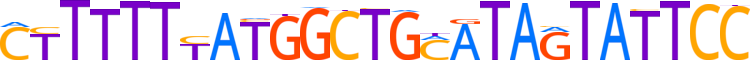 OZF.H13CORE.0.P.B motif logo (ZNF146 gene, OZF_HUMAN protein)