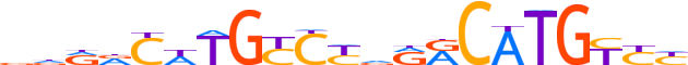 P53.H13CORE.0.P.B motif logo (TP53 gene, P53_HUMAN protein)