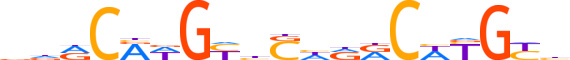 P63.H13CORE.0.PS.A motif logo (TP63 gene, P63_HUMAN protein)