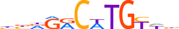 P63.H13CORE.1.PS.A motif logo (TP63 gene, P63_HUMAN protein)