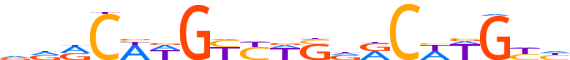 P73.H13CORE.0.PS.A reverse-complement motif logo (TP73 gene, P73_HUMAN protein)