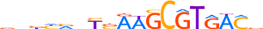 PAX1.H13CORE.0.SM.B motif logo (PAX1 gene, PAX1_HUMAN protein)