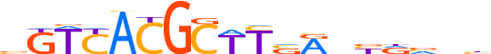 PAX1.H13CORE.0.SM.B reverse-complement motif logo (PAX1 gene, PAX1_HUMAN protein)