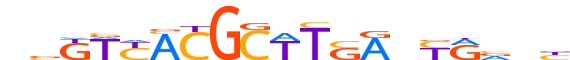 PAX2.H13CORE.0.SM.B reverse-complement motif logo (PAX2 gene, PAX2_HUMAN protein)