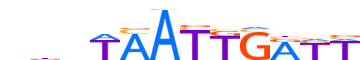 PAX3.H13CORE.2.P.C reverse-complement motif logo (PAX3 gene, PAX3_HUMAN protein)