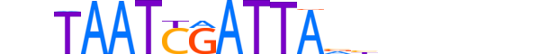 PAX3.H13CORE.3.S.B motif logo (PAX3 gene, PAX3_HUMAN protein)