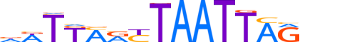 PAX4.H13CORE.1.S.C reverse-complement motif logo (PAX4 gene, PAX4_HUMAN protein)