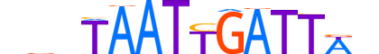 PAX7.H13CORE.2.PM.A motif logo (PAX7 gene, PAX7_HUMAN protein)