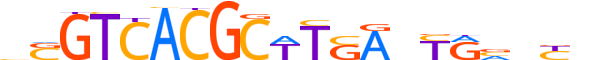 PAX8.H13CORE.0.PSM.A reverse-complement motif logo (PAX8 gene, PAX8_HUMAN protein)