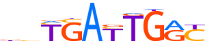 PBX1.H13CORE.1.P.B motif logo (PBX1 gene, PBX1_HUMAN protein)