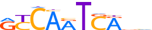 PBX1.H13CORE.1.P.B reverse-complement motif logo (PBX1 gene, PBX1_HUMAN protein)