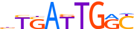 PBX2.H13CORE.1.P.C motif logo (PBX2 gene, PBX2_HUMAN protein)