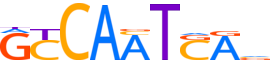 PBX2.H13CORE.1.P.C reverse-complement motif logo (PBX2 gene, PBX2_HUMAN protein)