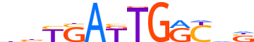 PBX3.H13CORE.0.P.B motif logo (PBX3 gene, PBX3_HUMAN protein)