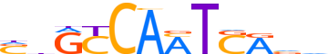 PBX3.H13CORE.0.P.B reverse-complement motif logo (PBX3 gene, PBX3_HUMAN protein)