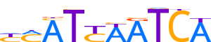 PDX1.H13CORE.0.P.B reverse-complement motif logo (PDX1 gene, PDX1_HUMAN protein)