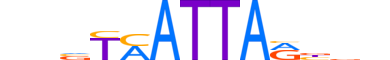 PDX1.H13CORE.1.PSM.A reverse-complement motif logo (PDX1 gene, PDX1_HUMAN protein)