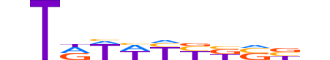 PHF21A.H13CORE.0.B.B reverse-complement motif logo (PHF21A gene, PF21A_HUMAN protein)