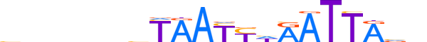 PHX2A.H13CORE.0.PS.A motif logo (PHOX2A gene, PHX2A_HUMAN protein)