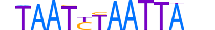 PHX2B.H13CORE.0.PSM.A reverse-complement motif logo (PHOX2B gene, PHX2B_HUMAN protein)