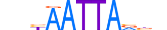 PHX2B.H13CORE.1.SM.B reverse-complement motif logo (PHOX2B gene, PHX2B_HUMAN protein)