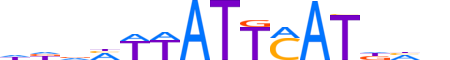 PIT1.H13CORE.1.S.B reverse-complement motif logo (POU1F1 gene, PIT1_HUMAN protein)