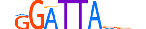 PITX1.H13CORE.0.PSM.A motif logo (PITX1 gene, PITX1_HUMAN protein)