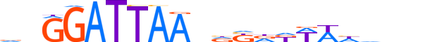 PITX1.H13CORE.1.S.B motif logo (PITX1 gene, PITX1_HUMAN protein)