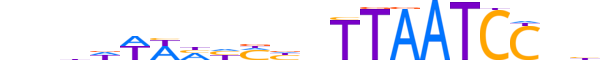 PITX1.H13CORE.1.S.B reverse-complement motif logo (PITX1 gene, PITX1_HUMAN protein)