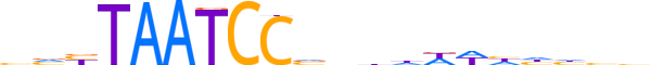 PITX3.H13CORE.1.S.B reverse-complement motif logo (PITX3 gene, PITX3_HUMAN protein)