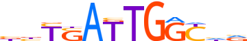 PKNX1.H13CORE.0.P.B motif logo (PKNOX1 gene, PKNX1_HUMAN protein)