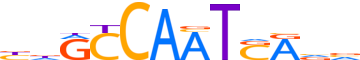 PKNX1.H13CORE.0.P.B reverse-complement motif logo (PKNOX1 gene, PKNX1_HUMAN protein)