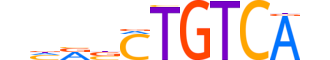PKNX2.H13CORE.1.SM.B reverse-complement motif logo (PKNOX2 gene, PKNX2_HUMAN protein)