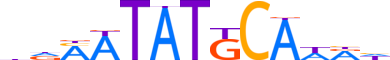 PO2F2.H13CORE.2.S.B reverse-complement motif logo (POU2F2 gene, PO2F2_HUMAN protein)