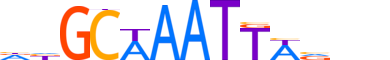 PO2F3.H13CORE.0.PS.A motif logo (POU2F3 gene, PO2F3_HUMAN protein)