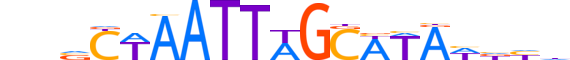 PO2F3.H13CORE.1.S.C reverse-complement motif logo (POU2F3 gene, PO2F3_HUMAN protein)