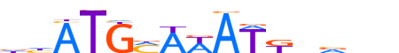 PO3F1.H13CORE.0.P.B motif logo (POU3F1 gene, PO3F1_HUMAN protein)