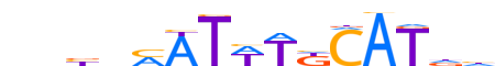 PO3F1.H13CORE.0.P.B reverse-complement motif logo (POU3F1 gene, PO3F1_HUMAN protein)