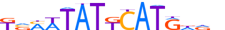 PO3F1.H13CORE.1.PS.A reverse-complement motif logo (POU3F1 gene, PO3F1_HUMAN protein)