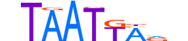 PO3F1.H13CORE.2.S.C motif logo (POU3F1 gene, PO3F1_HUMAN protein)