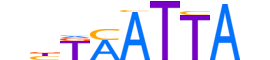 PO3F1.H13CORE.2.S.C reverse-complement motif logo (POU3F1 gene, PO3F1_HUMAN protein)