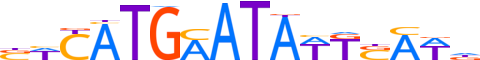 PO3F2.H13CORE.0.P.B motif logo (POU3F2 gene, PO3F2_HUMAN protein)