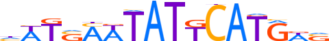 PO3F2.H13CORE.0.P.B reverse-complement motif logo (POU3F2 gene, PO3F2_HUMAN protein)