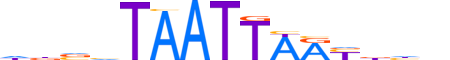 PO3F2.H13CORE.1.S.B reverse-complement motif logo (POU3F2 gene, PO3F2_HUMAN protein)