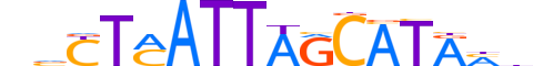 PO3F2.H13CORE.2.SM.B motif logo (POU3F2 gene, PO3F2_HUMAN protein)